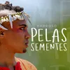 About Pelas Sementes Song