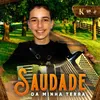 About Saudade da Minha Terra Song