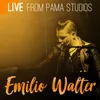 Whole Lotta Shakin' Goin' On Live at Pama Studios