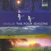 The Four Seasons, Violin Concerto in G Minor, RV 315 "Summer": II. Adagio molto