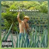 About La Reggaetoneada Song