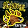 El Porrito En Vivo