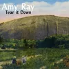 About Tear It Down Song