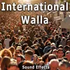 Geneva, Switzerland: Airport Crowd Walla in Small Area