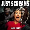 About Horrified Screams from Adult Female Song