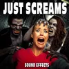 About Woman Shrieks and Screams in Fear Song