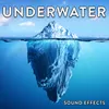 About Orca Killer Whale Underwater: Various Vocalizations with Blowhole Blasts Song