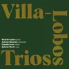 Primeiro Trio, Rio 1911: Allegro Non Tropo
