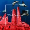 Wild Bononia