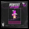 Perfect Storm Extended Mix