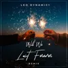 About Will We Last Forever Remix Song