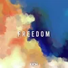 About Freedom Song