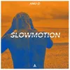 About Slowmotion Song