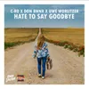 Hate to Say Goodbye Extended Mix
