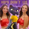 About Hips Don´t Lie Song