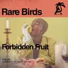 Forbidden Fruit Radio Mix