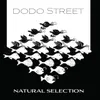 Flight of the Dodo (Arr. Adam Summerhayes, Dodo Street)