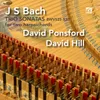 Sonata No. 3 in D Minor BWV 527: II. Adagio e dolce (arr. David Ponsford)