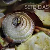 About Sete Dias Song
