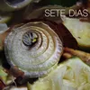 Sete Dias