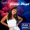 About George Floyd-Radio Edit Song