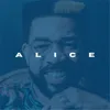 About Alice Song