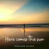 Here Comes The Sun-Instrumental