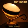 About Hey Bo Bo Song