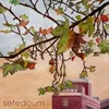 Setedoum-Ao vivo