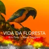 About Vida da Floresta Song