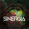 About Sinergia Song