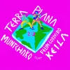 About Terra Plana - 2d Song