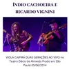 Violinha Fandangueira