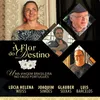 À Flor do Destino (Fado Maria Vitória)