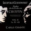 Studies after the Etudes of Chopin : VI. No. 26 in F Minor, Op. 25 No. 1