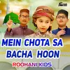 Mein Chota Sa Bacha Hoon
