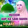 Huzoor Aap Ka Sani Nahin