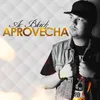 About Aprovecha Song