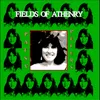 About Fields of Anthenry Song
