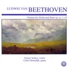 Sonata for Violin and Piano No. 4 in A Minor, Op. 23: III. Allegro Molto