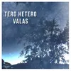 About Valas-Radio Edit Song