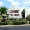 Pink Camel