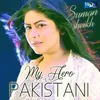 About My Hero Pakistani Song