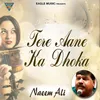 About Tere Aane Ka Dhoka Song