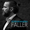 About Faller-Acoustic Version Song