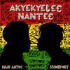 About Akyekyede3 Nante3 Song