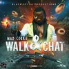 About Walk & Chat Song