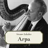 Introduzione per Arpa, Flauto, Clarinetto e quartetto d'archi: Allegro