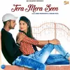 About Tera Mera Seen Song