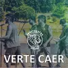 About Verte Caer Song